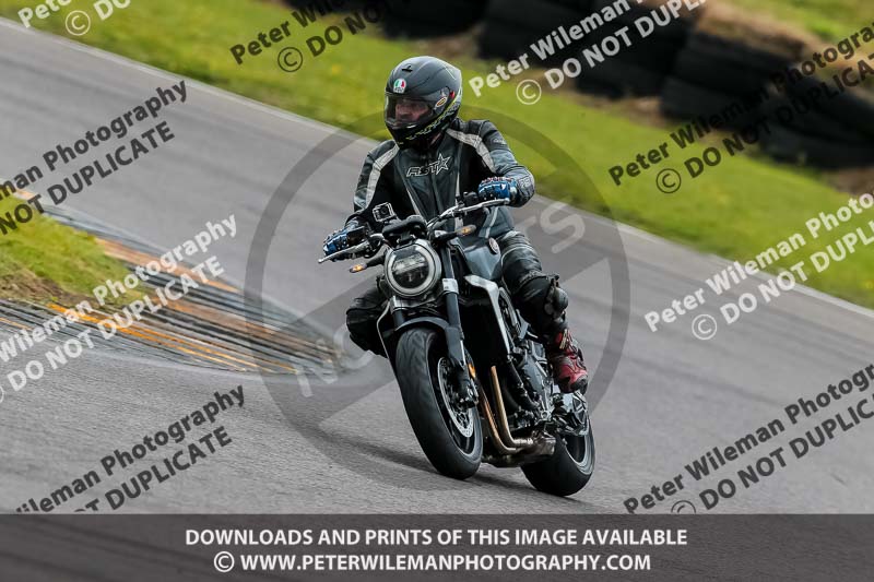 PJ Motorsport 2019;anglesey no limits trackday;anglesey photographs;anglesey trackday photographs;enduro digital images;event digital images;eventdigitalimages;no limits trackdays;peter wileman photography;racing digital images;trac mon;trackday digital images;trackday photos;ty croes